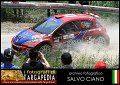 6 Peugeot 207 S2000 GF.Cunico - R.Pollet (15)